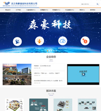 ��hɭ��ͨ�ſƼ����޹�˾